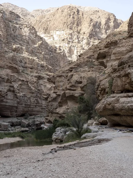 Wadi Shab Belas Paisagens Rochas Altas Córrego Com Água Limpa — Fotografia de Stock