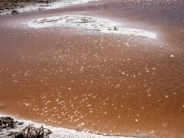 Pequeno Lago Sal Com Bactérias Marrons Centro Omã — Fotografia de Stock