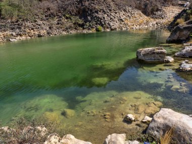 Darbat şelalesinden temiz su akan küçük bir nehir. Umman.