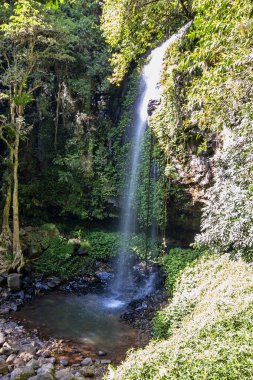 Wilson Nehri ormanın içinden akar ve Batı Avustralya 'da küçük bir şelale oluşturur.