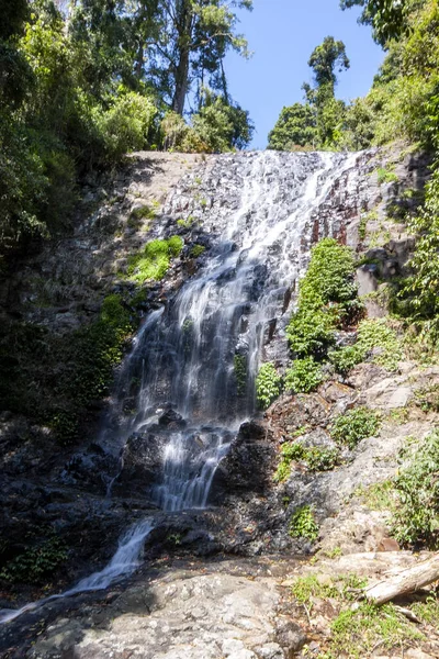 Río Wilson Fluye Través Selva Forma Una Pequeña Cascada Australia — Foto de Stock