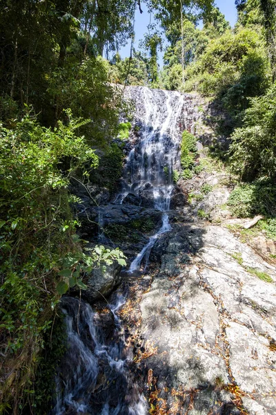 Wilson River Flows Jungle Forms Small Waterfall Western Australia — Stock Photo, Image