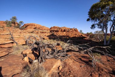 Büyük Vadi 'nin, Krallar Kanyonu' nun inanılmaz kaya oluşumları. Avusturalya