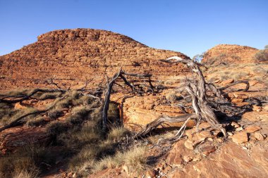 Büyük Vadi 'nin, Krallar Kanyonu' nun inanılmaz kaya oluşumları. Avusturalya