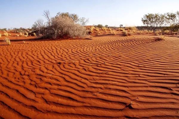 Пустынный Пейзаж Редкой Растительностью Красным Песком Австралия — стоковое фото