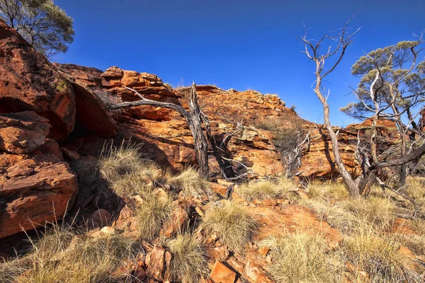 Erstaunliche Felsformationen Des Great Valley Kings Canyon Australien — Stockfoto