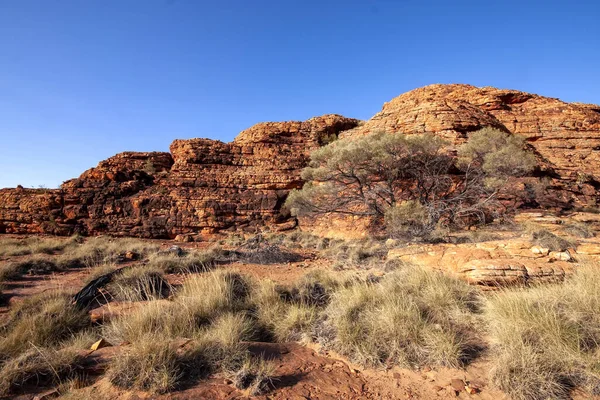 Erstaunliche Felsformationen Des Great Valley Kings Canyon Australien — Stockfoto