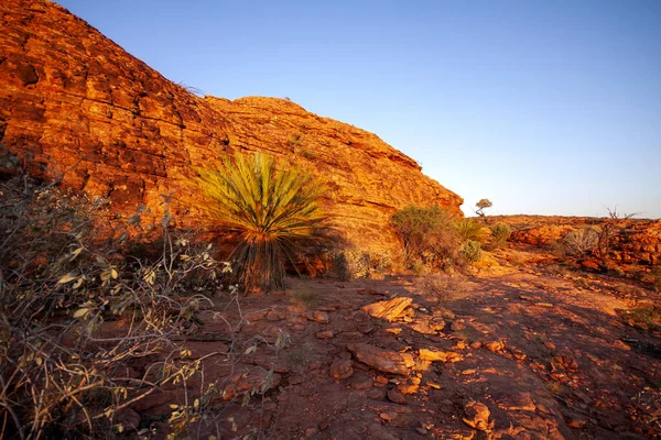 Erstaunliche Felsformationen Des Great Valley Kings Canyon Australien — Stockfoto