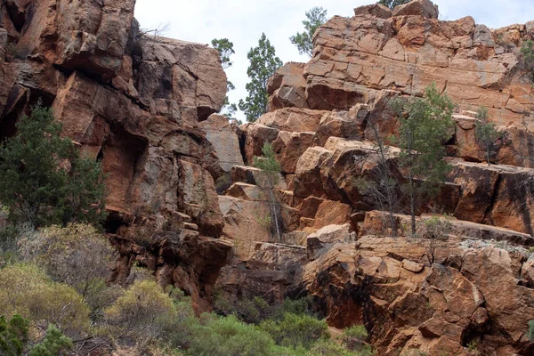 오스트레일리아 누카나의 바위가 지역에 자리잡고 바위와 뒤틀린 유칼립투스 — 스톡 사진