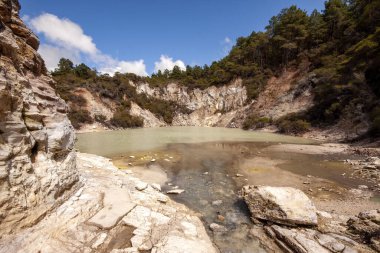 Renkli Rotorua, yerden yükselen çiftler halinde örtülmüş. Yeni Zelanda 'nın Kuzey Adası