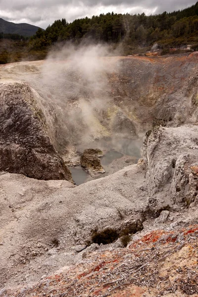 Färgglada Rotorua Höljd Par Som Reser Sig Från Marken Nordön — Stockfoto