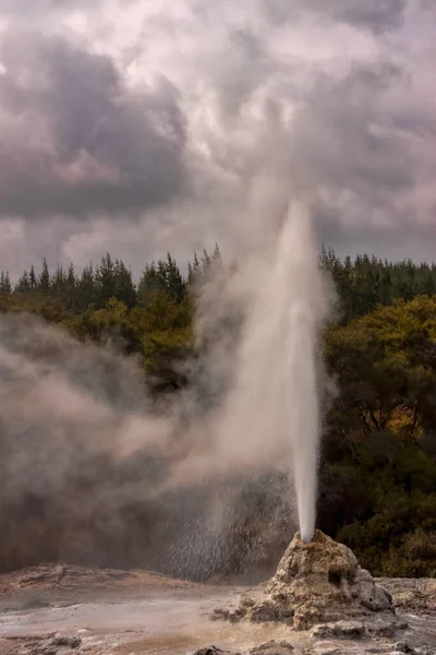 Lady Knox Geyser Spuckt Jeden Tag Uhr Manchmal Bis Zwanzig — Stockfoto