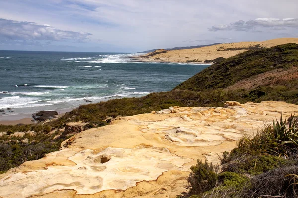 아름다운 모래사장 뉴질랜드 — 스톡 사진