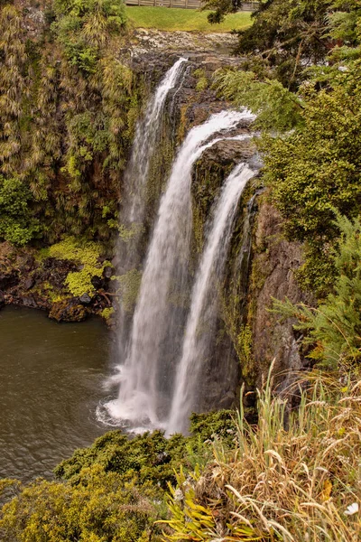 Водопад Whanagarei Окружен Растительностью Южного Острова Новой Зеландии — стоковое фото