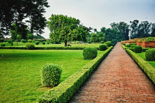 Parque Infantil Campo Grama — Fotografia de Stock