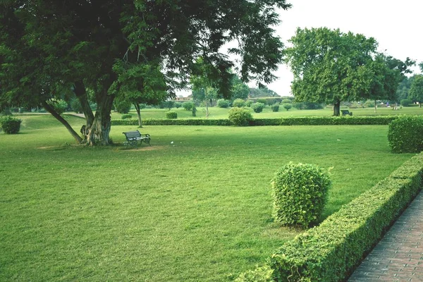 Speeltuin Grasveld Stockfoto