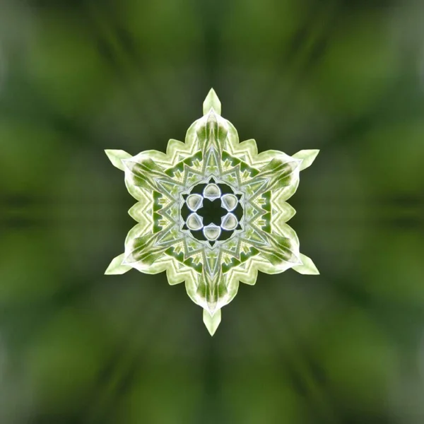 Abstract Kaleidoscope Background Beautiful Fractal Artwork Creative Design — Stock Photo, Image