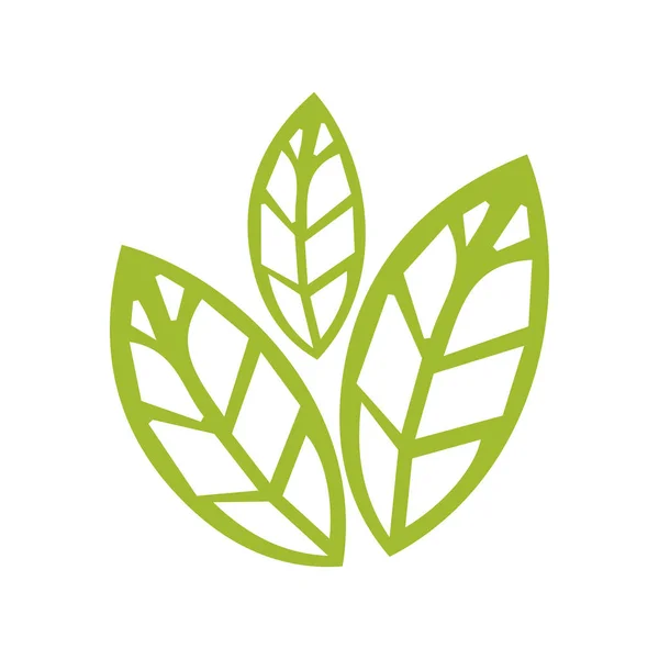 Symbol Für Grüne Blätter Flaches Und Grünes Design — Stockvektor