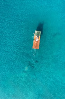 Akdeniz 'de, Malaga sahilinin önünde karides teknesi. Tipik (concha fina) Malagas istiridyesi (Cytherea chione)