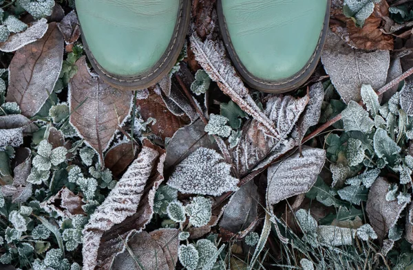 Hojas congeladas de otoño con escarcha. romance de noviembre . — Foto de Stock