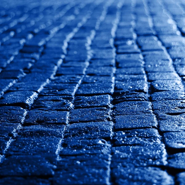 Wet cobblestones with blue reflected light at night. — Stock Photo, Image