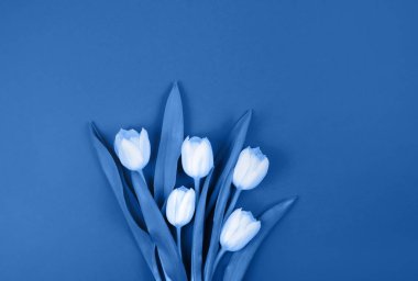 Mavi arka planda bir buket çiçek. Kartpostal.