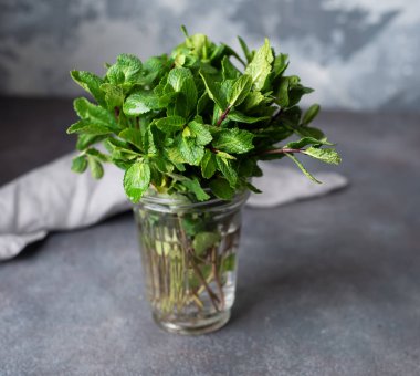 Gri arka planda bir demet yeşil nane. Parlak yararlı yeşiller.