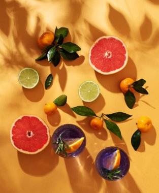 Still life with citrus and cocktails. Solar photography.