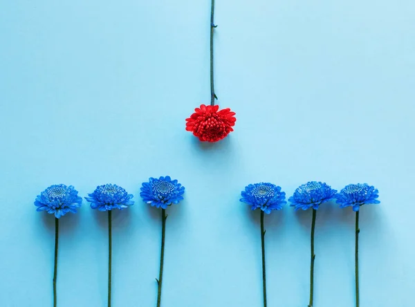 Blue small flowers on a blue background.One red flower. Rhythmic composition. Different social concepts.