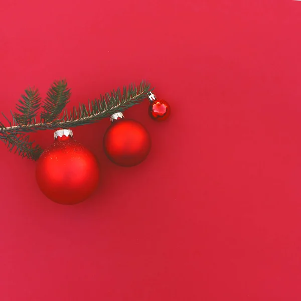Um branche de uma árvore de Natal decorada com brinquedos redondos . — Fotografia de Stock