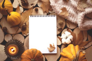 Konforlu sonbahar dairesi bir sürü dekor ve bir defter ile yatıyordu..