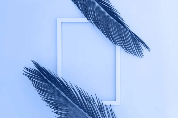 Klassisch blauer Hintergrund mit Palmenzweigen und Rahmen. — Stockfoto