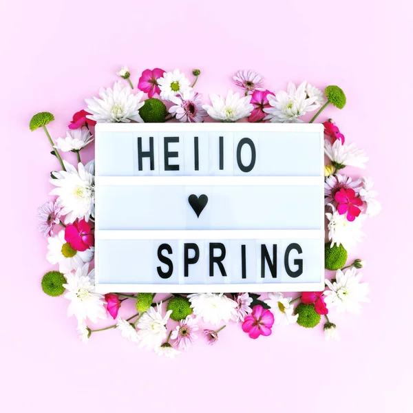 Lightbox z kompozycją kwiatową i słowem hello spring. — Zdjęcie stockowe