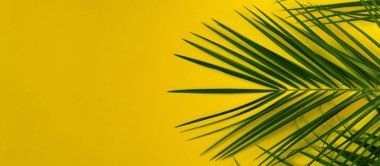 Site için palmiye dallı turuncu pankart.