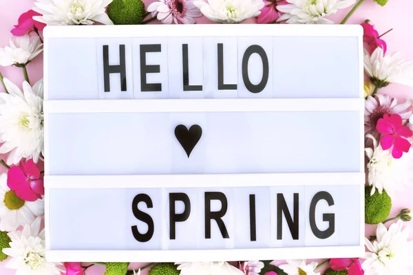 Lightbox z kompozycją kwiatową i słowem hello spring. — Zdjęcie stockowe