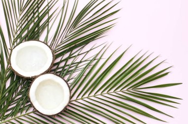 Palmiye dalları ve hindistan cevizli tropik pembe arkaplan.