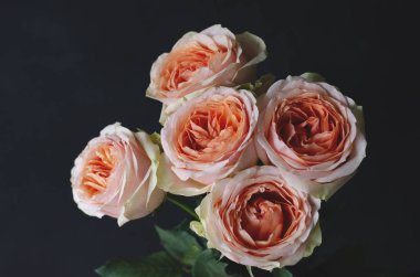 Beautiful bouquet of fresh peach-colored roses. 
