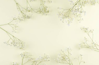 Gypsophila dalları sarı kağıt arka plan üzerinde çerçevesinden. 