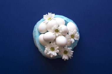 Nest with white eggs and daisies on a trendy blue background.