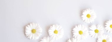 Gri arka planda papatya çiçekleri olan site afişi.