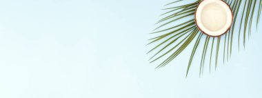 Palmiye dalları ve hindistan cevizli bölge için tropik pankart. Mesajlaşmak için bir yer var. Site için pankart.