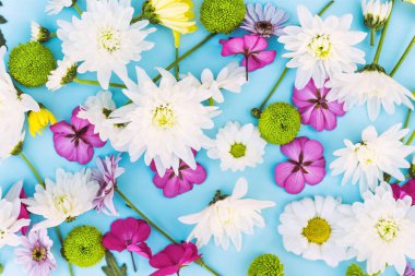 Arka planda mavi arka planda bir sürü renkli çiçek var. Çiçek deseni.