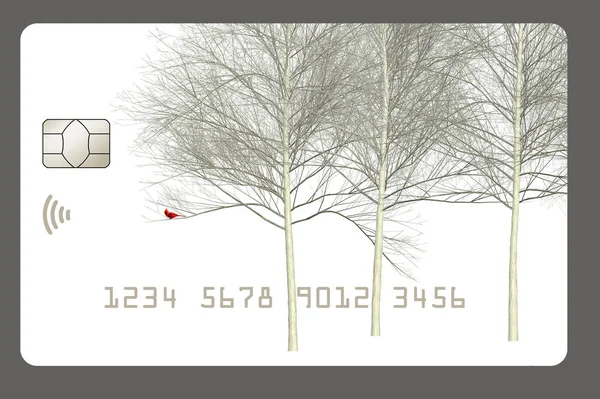 Winter Scene Red Cardinal Resting Tree Decorates Credit Debit Card — Stock Photo, Image