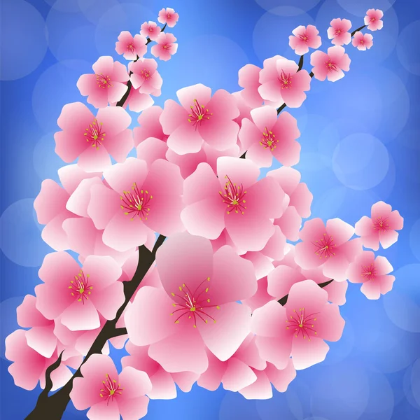 Spring roze bloemen — Stockvector