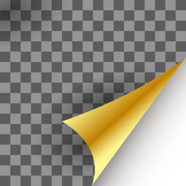 Kağıt altın sayfa kıvır