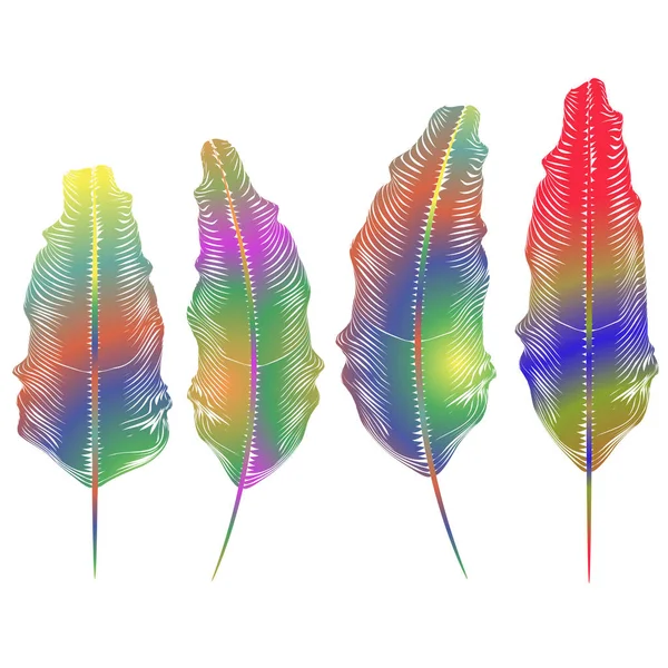 Set of Different Colorful Feathers — Stock Vector