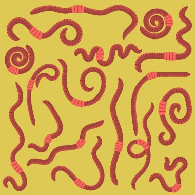 Hayvan toprak kırmızı solucanlar