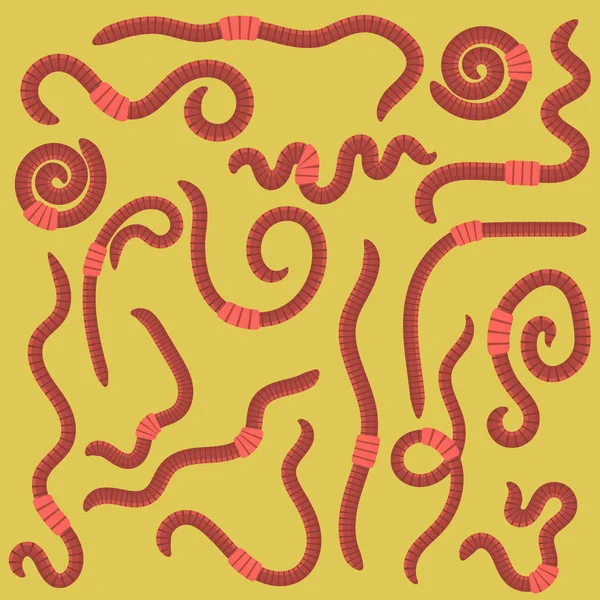 Dier aarde rode wormen — Stockvector