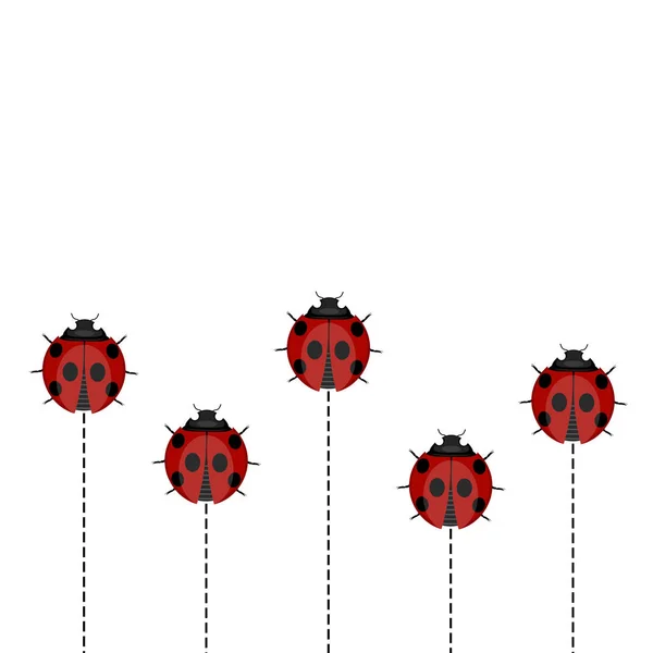 白い背景の上のてんとう虫パターン — ストックベクタ
