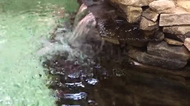 Decirative pool vattenfall — Stockvideo